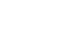 MEET THE EXECUTIVE TEAM